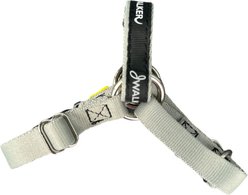 JWalker Dog No-Pull, Side-Attachment Reflective Dog Harness, Mountain Gray, Tiny : 7.5-in chest