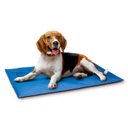 K&H Pet Products Coolin' Dog Mat, Blue, X-Large