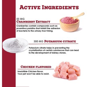 K-Plus Potassium Citrate Plus Supports Bladder Health Urinary Balance & Kidney Function Cranberry Granules for Dogs & Cats, 300g