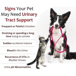 K-Plus Potassium Citrate Plus Supports Bladder Health Urinary Balance & Kidney Function Cranberry Granules for Dogs & Cats, 300g