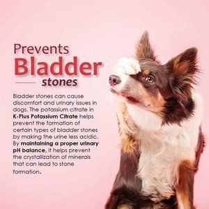 K-Plus Potassium Citrate Plus Supports Bladder Health Urinary Balance & Kidney Function Cranberry Granules for Dogs & Cats, 300g