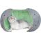 Show in main carousel: K1 Pet Design Dragon Ball Covered Cat Bed, Green slide 2 of 6