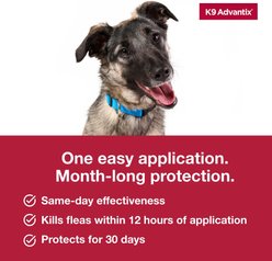 K9 Advantix Flea, Tick & Mosquito Prevention for Large Dogs, 21-55 lbs, 2-Monthly Treatments slide 2 of 9