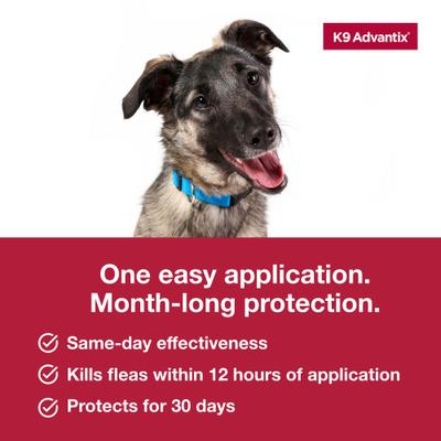 Show full view: K9 Advantix Flea, Tick & Mosquito Prevention for Large Dogs, 21-55 lbs, 2-Monthly Treatments slide 7 of 10
