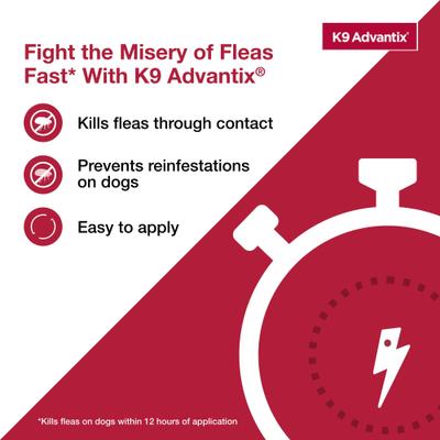 Show full view: K9 Advantix Flea, Tick & Mosquito Prevention for Large Dogs, 21-55 lbs, 2-Monthly Treatments slide 6 of 10