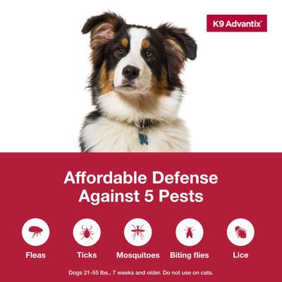 Show full view: K9 Advantix Flea, Tick & Mosquito Prevention for Large Dogs, 21-55 lbs, 2-Monthly Treatments slide 4 of 10