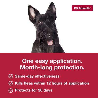 Show full view: K9 Advantix Flea, Tick & Mosquito Prevention for Medium Dogs, 11-20 lbs, 2-Monthly Treatments slide 7 of 10
