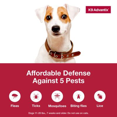 Show full view: K9 Advantix Flea, Tick & Mosquito Prevention for Medium Dogs, 11-20 lbs, 2-Monthly Treatments slide 4 of 10