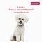 Show in main carousel: K9 Advantix Flea, Tick & Mosquito Prevention for Medium Dogs, 11-20 lbs, 2-Monthly Treatments slide 9 of 10