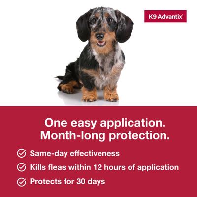 Show full view: K9 Advantix Flea, Tick & Mosquito Prevention for Small Dogs, 4-10 lbs, 2-Monthly Treatments slide 7 of 10