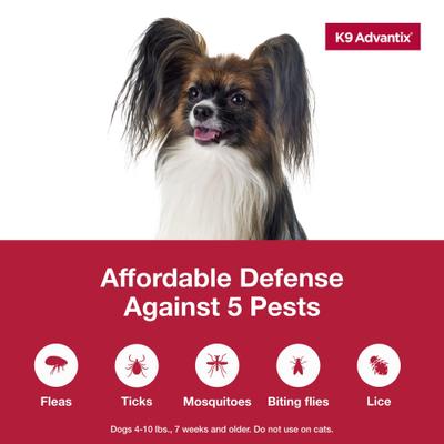 Show full view: K9 Advantix Flea, Tick & Mosquito Prevention for Small Dogs, 4-10 lbs, 2-Monthly Treatments slide 4 of 10
