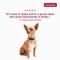 Show in main carousel: K9 Advantix Flea, Tick & Mosquito Prevention for Small Dogs, 4-10 lbs, 2-Monthly Treatments slide 9 of 10