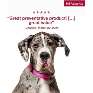 K9 Advantix Flea, Tick & Mosquito Prevention for X-Large Dogs, Over 55 lbs+, 2-Monthly Treatments