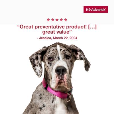 Show full view: K9 Advantix Flea, Tick & Mosquito Prevention for X-Large Dogs, Over 55 lbs+, 2-Monthly Treatments slide 9 of 10