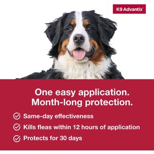 K9 Advantix Flea, Tick & Mosquito Prevention for X-Large Dogs, Over 55 lbs+, 2-Monthly Treatments