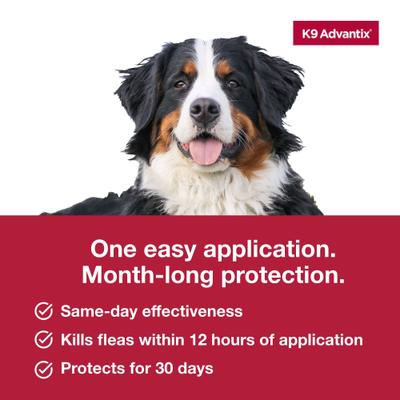 Show full view: K9 Advantix Flea, Tick & Mosquito Prevention for X-Large Dogs, Over 55 lbs+, 2-Monthly Treatments slide 7 of 10