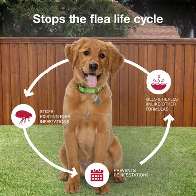 Show full view: K9 Advantix II Flea & Tick Spot Treatment for Dogs, 11-20 lbs, 1 Dose (1-mo. supply) slide 7 of 10