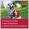 Show in main carousel: K9 Advantix II Flea & Tick Spot Treatment for Dogs, 21-55 lbs, 2 Doses (2-mos. supply) slide 4 of 10