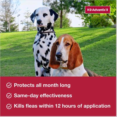 Show full view: K9 Advantix II Flea & Tick Spot Treatment for Dogs, 21-55 lbs, 6 Doses (6-mos. supply) slide 3 of 8