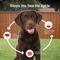 Show in main carousel: K9 Advantix II Flea & Tick Spot Treatment for Dogs, 21-55 lbs, 6 Doses (6-mos. supply) slide 6 of 8
