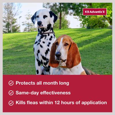 Show full view: K9 Advantix II Flea & Tick Spot Treatment for Dogs, 4-10 lbs, 1 Dose (1-mo. supply) slide 4 of 10