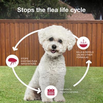 Show full view: K9 Advantix II Flea & Tick Spot Treatment for Dogs, 4-10 lbs, 12 Doses (12-mos. supply) slide 7 of 9