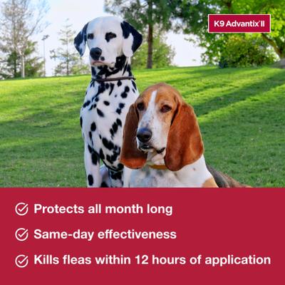 Show full view: K9 Advantix II Flea & Tick Spot Treatment for Dogs, 4-10 lbs, 12 Doses (12-mos. supply) slide 4 of 9