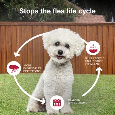 Show full view: K9 Advantix II Flea & Tick Spot Treatment for Dogs, 4-10 lbs, 4 Doses (4-mos. supply) slide 7 of 10