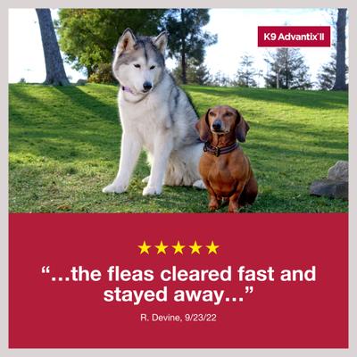 Show full view: K9 Advantix II Flea & Tick Spot Treatment for Dogs, 4-10 lbs, 6 Doses (6-mos. supply) slide 8 of 10