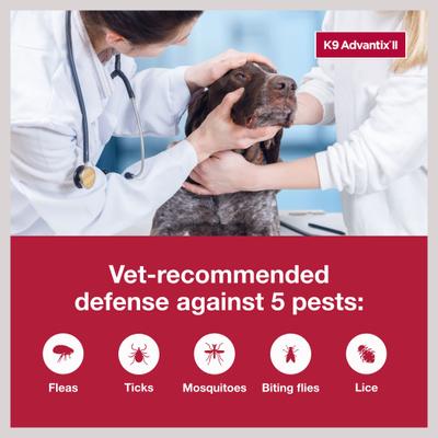 Show full view: K9 Advantix II Flea & Tick Spot Treatment for Dogs, over 55 lbs, 2 Doses (2-mos. supply) slide 5 of 10