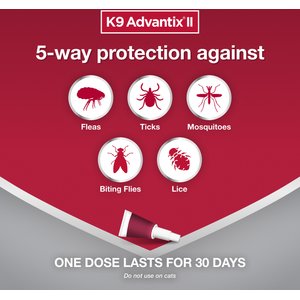 K9 Advantix II Flea & Tick Spot Treatment for Dogs, over 55 lbs, 6 Doses (6-mos. supply)