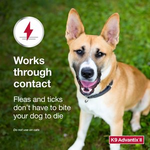 K9 Advantix II Flea & Tick Spot Treatment for Dogs, over 55 lbs, 6 Doses (6-mos. supply)
