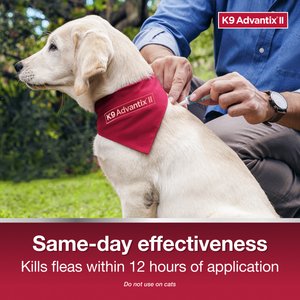 K9 Advantix II Flea & Tick Spot Treatment for Dogs, over 55 lbs, 6 Doses (6-mos. supply)