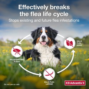 K9 Advantix II Flea & Tick Spot Treatment for Dogs, over 55 lbs, 6 Doses (6-mos. supply)