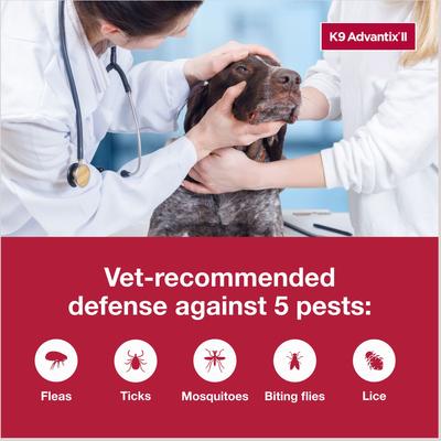 Show full view: K9 Advantix II Flea & Tick Spot Treatment for Dogs, over 55 lbs, 6 Doses (6-mos. supply) slide 3 of 7