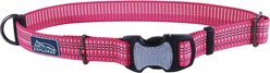 K9 Explorer Brights Reflective Adjustable Dog Collar, Blossom, Large: 18 to 26-in neck, 1-in wide