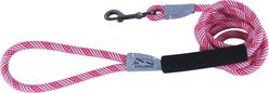 K9 Explorer Brights Reflective Braided Rope Snap Dog Leash, Blossom, 6-ft long, 3/8-in wide