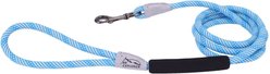 K9 Explorer Brights Reflective Braided Rope Snap Leash, Lake