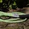 Show in main carousel: K9 Explorer Brights Reflective Braided Rope Snap Leash, Meadow slide 6 of 7