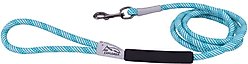 K9 Explorer Brights Reflective Braided Rope Snap Leash, Ocean
