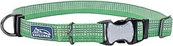 K9 Explorer Brights Reflective Dog Collar, Meadow, 12 to 18-in neck, 1-in wide