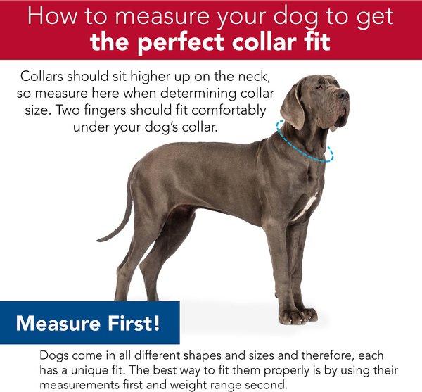 Show full view: K9 Explorer Brights Reflective Dog Collar, Meadow, 8 to 12-in neck, 5/8-in wide slide 5 of 7