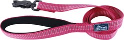 K9 Explorer Brights Reflective Dog Leash, Blossom, Medium/Large: 6-ft long, 1-in wide