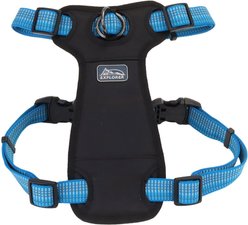 K9 Explorer Brights Reflective Front-Connect Harness, Lake, Medium, 1-in x 20-30-in