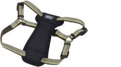 K9 Explorer Reflective Adjustable Padded Dog Harness, Fern, Small, 5/8-in x 16-24-in