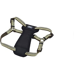 K9 Explorer Reflective Adjustable Padded Dog Harness, Fern, Small, 5/8-in x 16-24-in