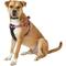 Show in main carousel: K9 Explorer Reflective Adjustable Padded Dog Harness, Rosebud, Large, 1-in x 26-38-in slide 3 of 10