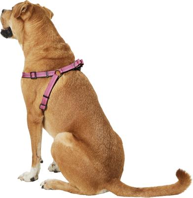 Show full view: K9 Explorer Reflective Adjustable Padded Dog Harness, Rosebud, Large, 1-in x 26-38-in slide 4 of 10