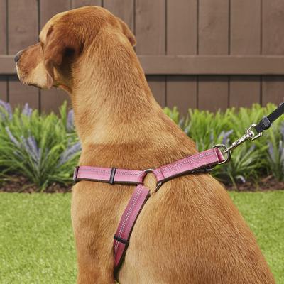 Show full view: K9 Explorer Reflective Adjustable Padded Dog Harness, Rosebud, Large, 1-in x 26-38-in slide 6 of 10
