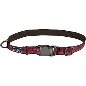 K9 Explorer Reflective Dog Collar, Berry, 12 to 18-in neck, 1-in wide
